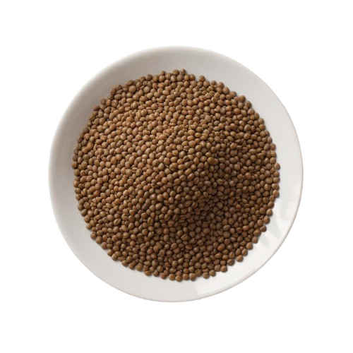 Canned lentils