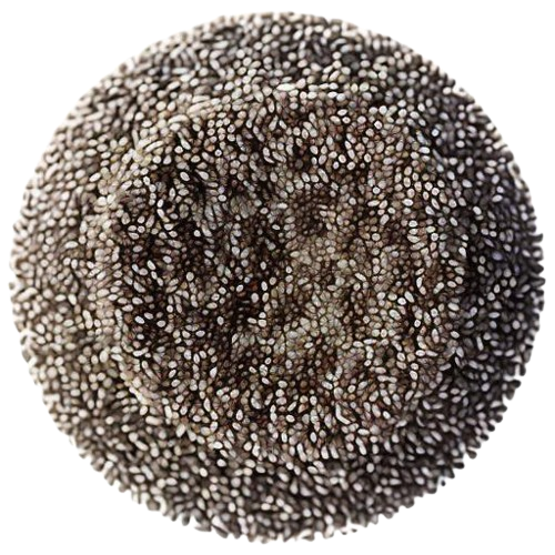 Dried chia seeds