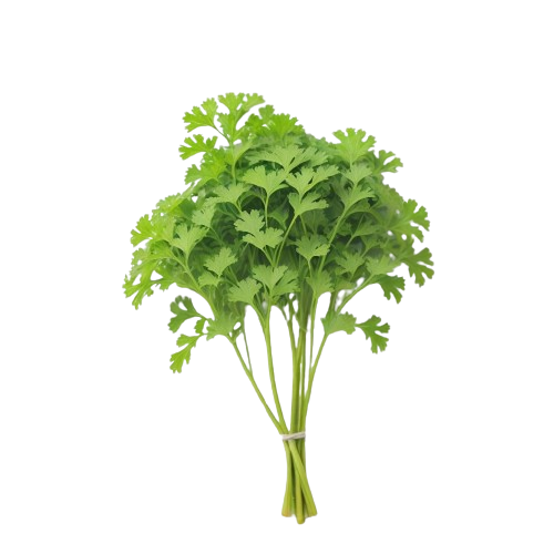 Parsley