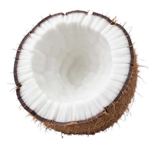 Toasted dried coconut 
