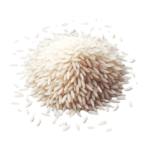 Wild rice