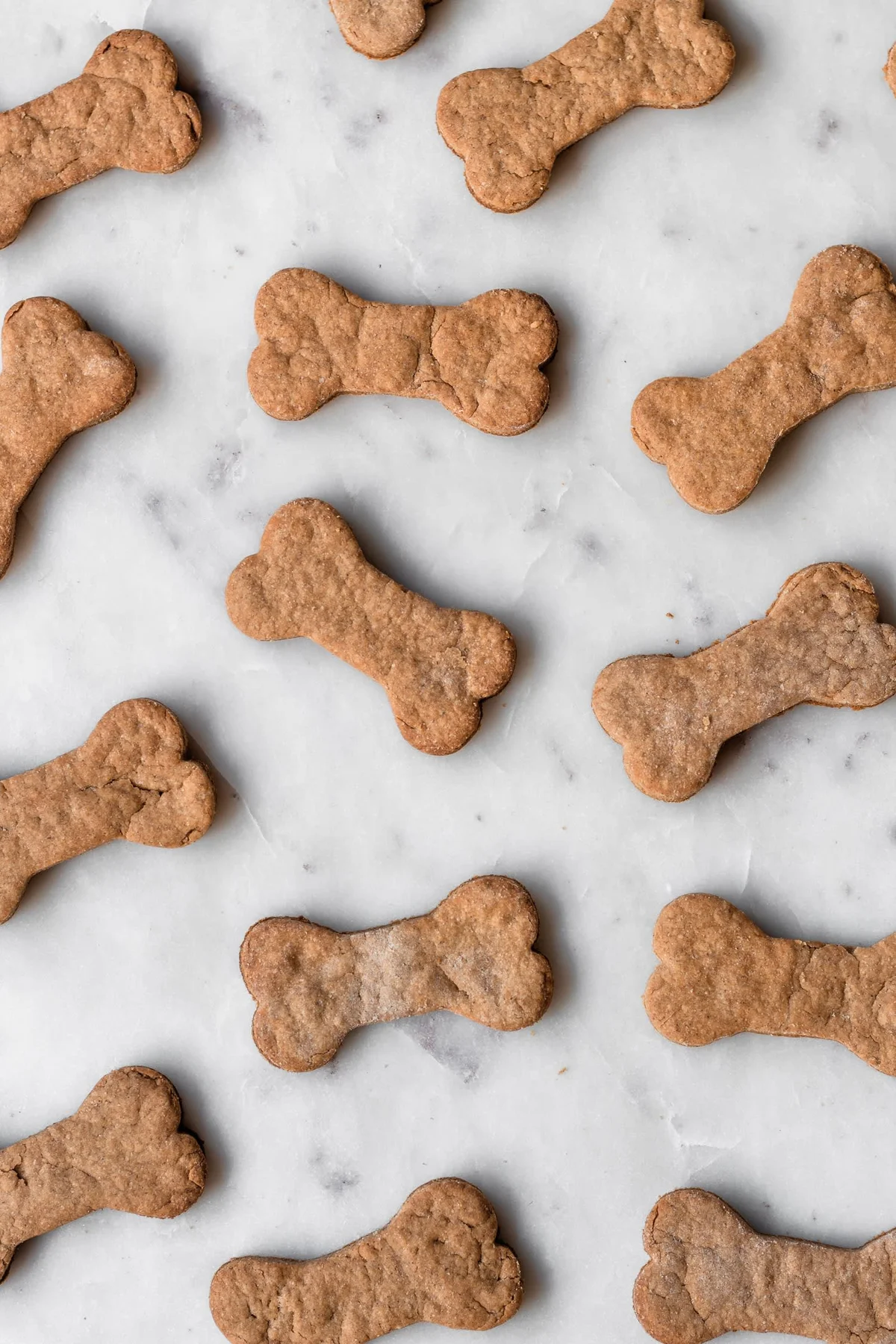 Homemade Peanut Butter Dog Cookies