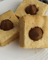 Peanut Butter Cookie Bars