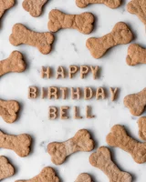 Homemade Peanut Butter Dog Cookies
