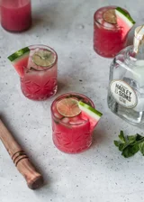 Watermelon Gin Fizz With Mint