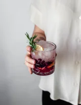 Blueberry Lemon Vodka Spritz