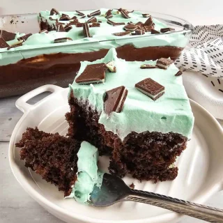 Chocolate Mint Cake