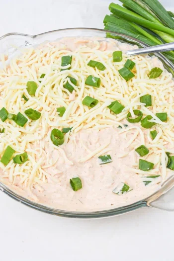 Salsa and Cream Cheese Dip