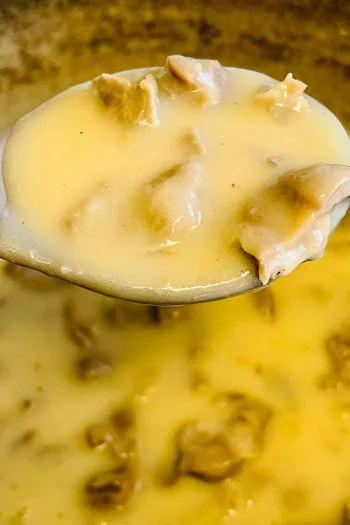 Giblet and Turkey Neck Gravy